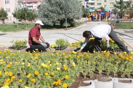 Palandöken, 60 bin çiçekle renklendi