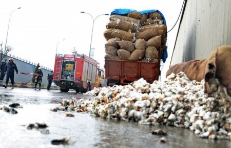 Pamuk yüklü kamyonda yangın çıktı