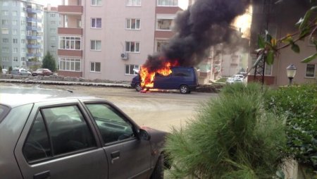 Park halindeki minibüs, alevlere teslim oldu