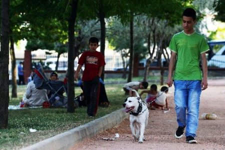 'Parkımıza dokunmayın, çocuklarımızın oynayacağı başka yer yok'