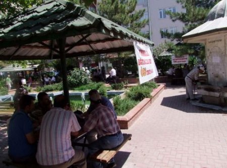 Parkın Ortasında Tercihe Yardımcı Oluyorlar