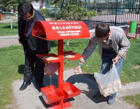 Parklara kuşlar için özel yemlik ve su kapları konuldu