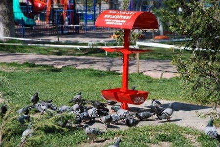 Parklara kuşlar için özel yemlik ve su kapları konuldu