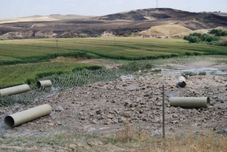Patlayan Sulama Kanalı Sebze Bahçeleri Ve Mısır Tarlalarına Zarar Verdi