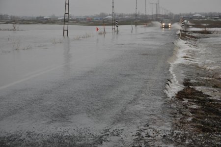 Patnos'ta sel: Evler sular altında kaldı