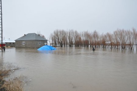Patnos'ta sel: Evler sular altında kaldı
