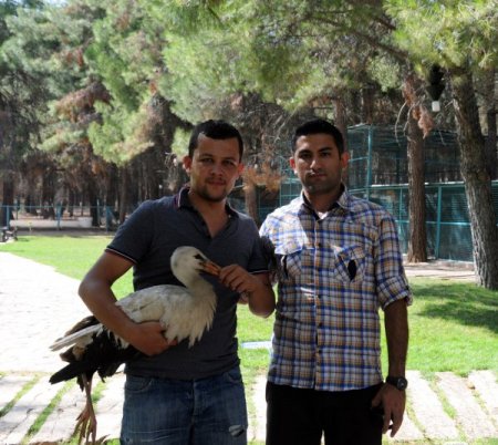 PAÜ Konukevi’ne leylek misafir oldu
