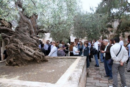 Payas Belediye Başkanı Altan: Türkiye'nin Demir Çelik Üretim Merkeziyiz