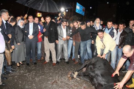 Payaslılar yağmur altında ilçe olmayı kutladı