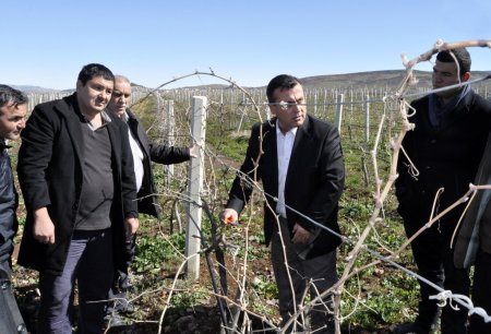 Pazarcık'ta çiftçilere bağ budama teknikleri eğitimi verildi