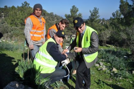 Pedesa Antik Kenti Ziyaretçi Evi Güneş Enerjisiyle Aydınlatılacak