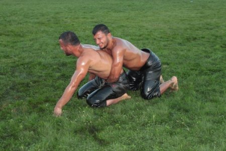 Pehlivanlar Erbaa’da birincilik için yarıştı