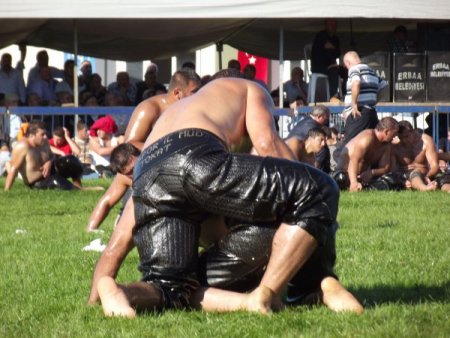 Pehlivanlar Erbaa’da birincilik için yarıştı