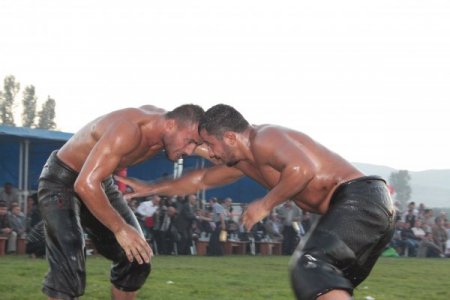 Pehlivanlar Erbaa’da birincilik için yarıştı