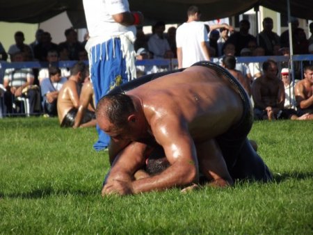 Pehlivanlar Erbaa’da birincilik için yarıştı