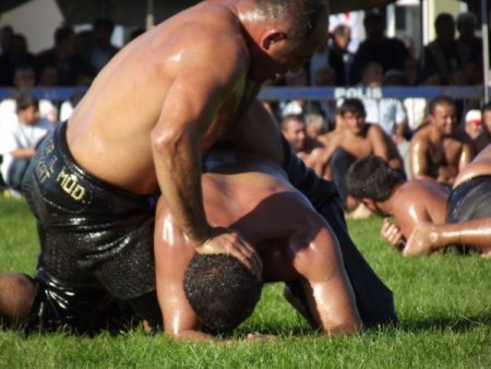 Pehlivanlar Erbaa’da birincilik için yarıştı