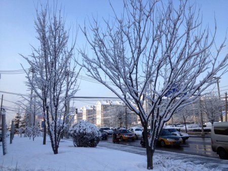 Pekinlilere yarım günlük kar hediyesi