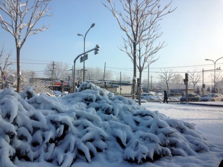 Pekinlilere yarım günlük kar hediyesi