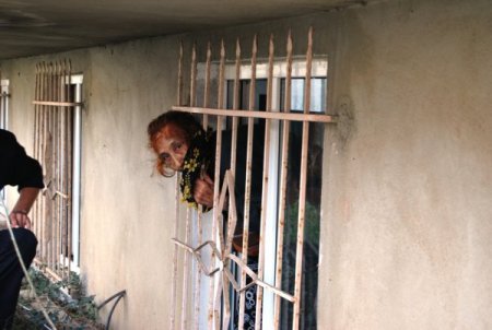 Pencere korkuluklarına kafası sıkıştı