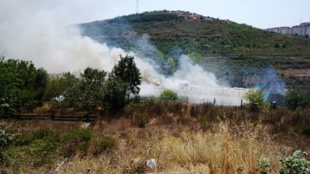 Pendik’te Tutuşan Otlar İtfaiyeyi Alarma Geçirdi