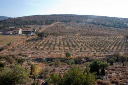 Petkim beş yılda 500 dönüm orman kuracak