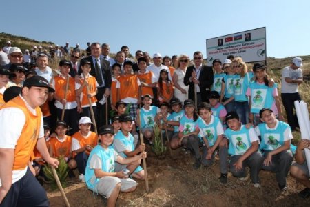 Petkim beş yılda 500 dönüm orman kuracak