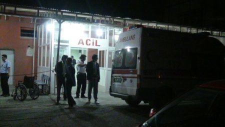 Pikap ineğe çarptı: 2’si ağır 5 yaralı