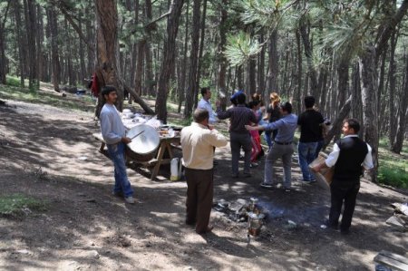 Piknik Alanlarında Davul Zurna Çalarak Yevmiyelerini Çıkarıyorlar
