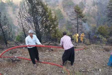 Piknikçilerin Ve Bahçe Temizleyenlerin Dikkatsizliği 4 Hektar Ormanı Kül Etti