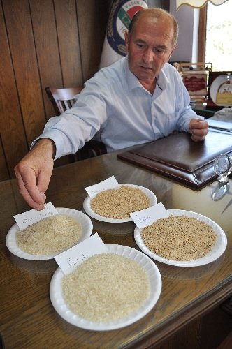 Pirinç üreticileri: Denetimler sıklaşırsa çiftçinin rekabet gücü artar (Özel)