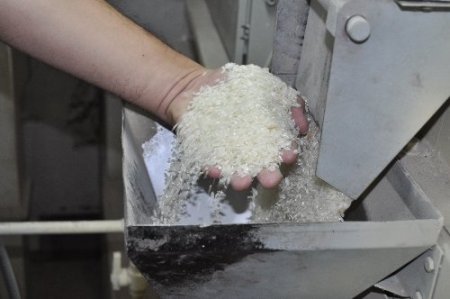 Pirinç üreticileri: Denetimler sıklaşırsa çiftçinin rekabet gücü artar (Özel)