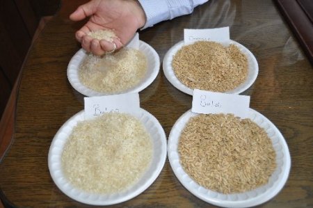Pirinç üreticileri: Denetimler sıklaşırsa çiftçinin rekabet gücü artar (Özel)