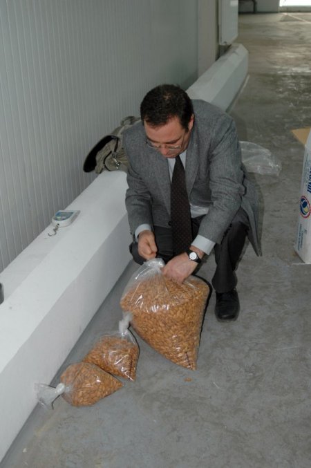Piyasaya Faturasız 7 Ton Bademiçi Süreceklerdi