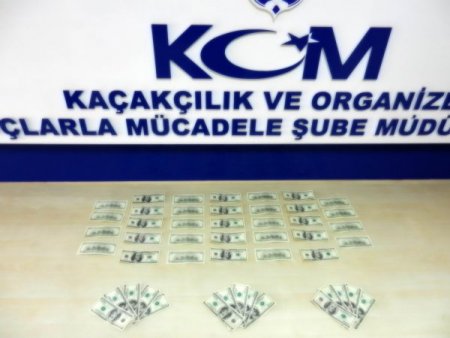 Piyasaya sahte dolar süren Gürcü kadın ve arkadaşı yakalandı