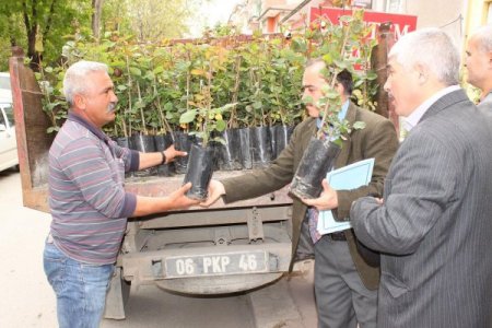 Polatlı’da Cami Bahçeleri Güllerle Donatılacak