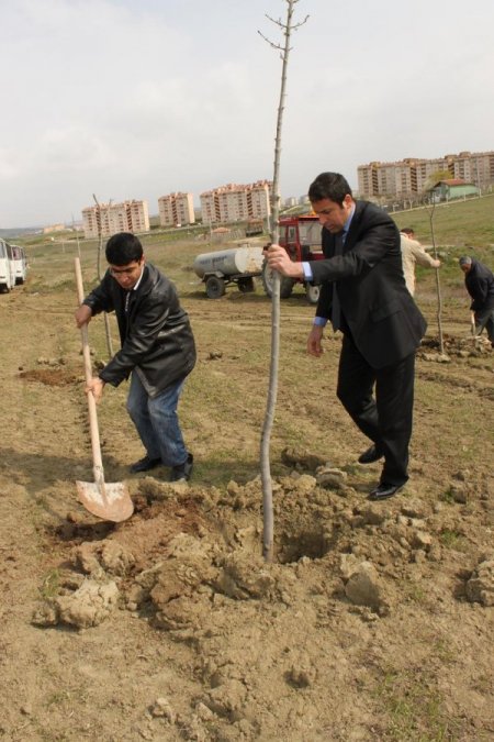Polatlı’da Engelliler İçin Hatıra Ormanı