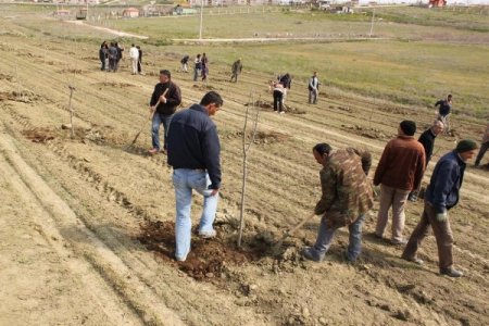 Polatlı’da Engelliler İçin Hatıra Ormanı