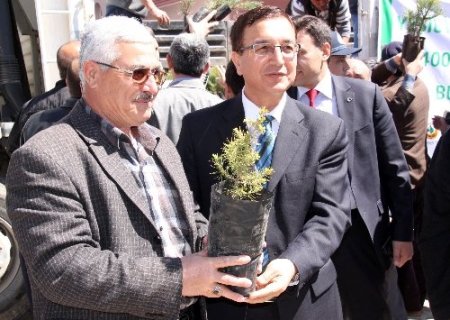 Polatlı’da ücretsiz fidan dağıtıldı