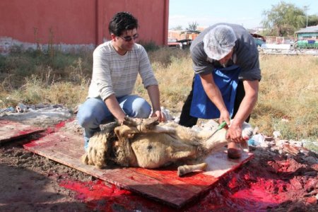 POLİAD, ihtiyaç sahibi ailelere kurban eti dağıttı
