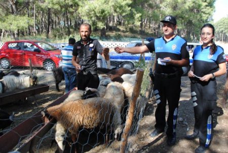Polis, kurbanlık satıcılarını kalpazan ve dolandırıcılara karşı uyardı