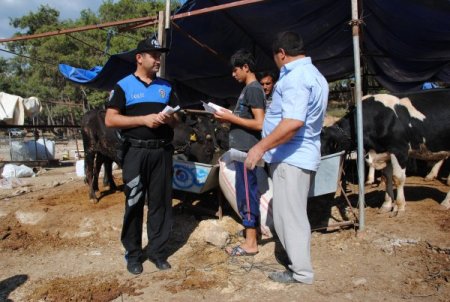 Polis, kurbanlık satıcılarını kalpazan ve dolandırıcılara karşı uyardı