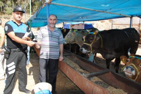 Polis, kurbanlık satıcılarını kalpazan ve dolandırıcılara karşı uyardı