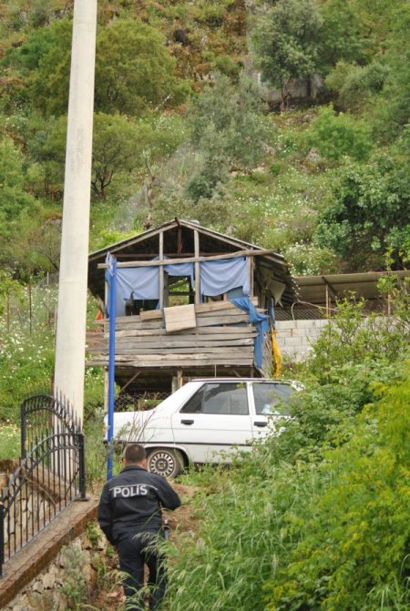 Polis, Mahalleye İnen Domuzları Mp-5 Tüfekle Takip Etti