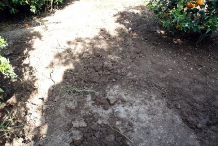 Polis Adana'da define için işlenmiş cinayeti 10 ay sonra çözdü