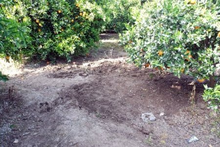 Polis Adana'da define için işlenmiş cinayeti 10 ay sonra çözdü