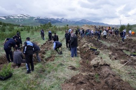 Polis ve vatandaş birlikte hatıra ormanına 900 fidan dikti