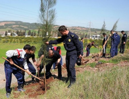 Polisler Ağaç Dikti