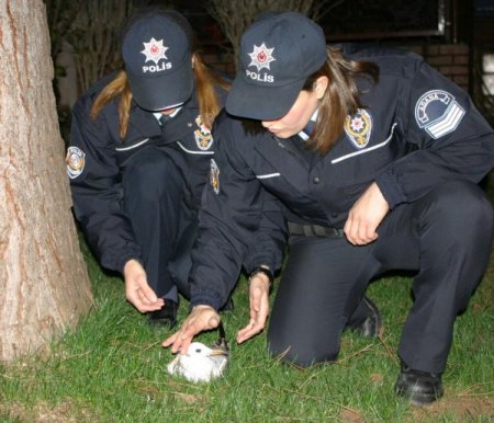 Polisler bu kez kanadı kırık martıyı kurtardı