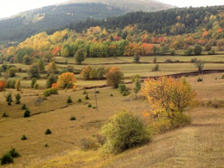 Posof renk cümbüşüne döndü