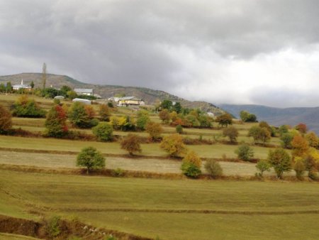 Posof renk cümbüşüne döndü